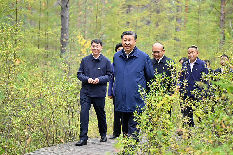 9月6日至8日，中共中央總書記、國家主席、中央軍委主席習(xí)近平在黑龍江考察。這是6日下午，習(xí)近平在大興安嶺地區(qū)漠河市漠河林場自然林區(qū)考察